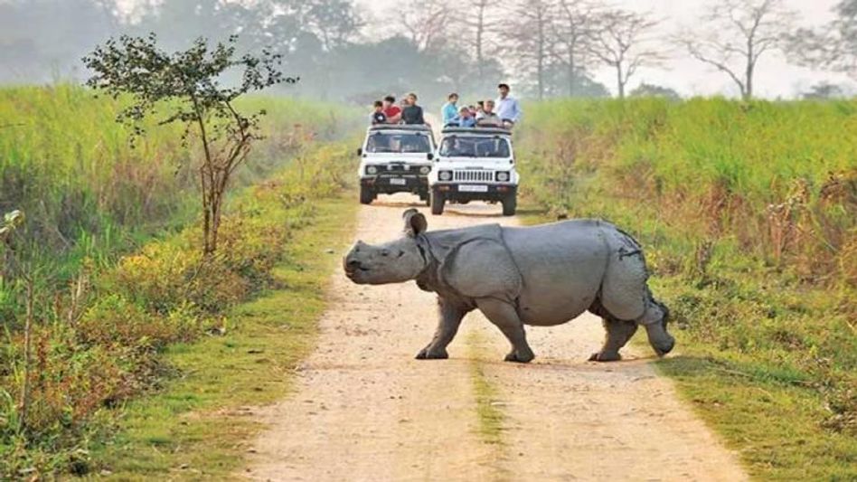 Assam: Jeep Safari in Kaziranga National Park to remain closed on February 4 in wake of G20 meeting Assam: Jeep Safari in Kaziranga National Park to remain closed on February 4 in wake of G20 meeting
