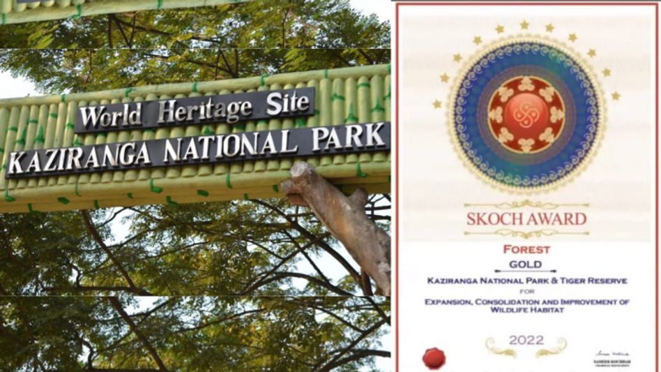 Assam's Kaziranga National Park bags gold in SKOCH Award 2022 Assam's Kaziranga National Park bags gold in SKOCH Award 2022