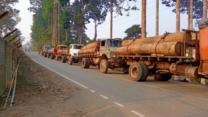 Garhwal Rifles seize trucks with illegal logs in Arunchal Pradesh