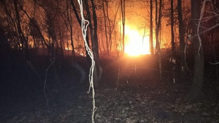 Manipur government bans on setting fire in Kangpokpi forest area