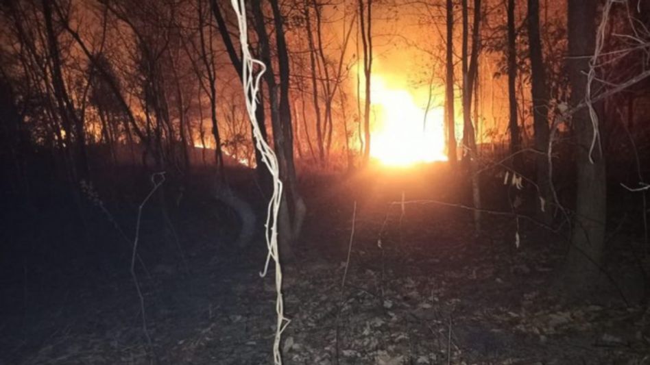 Manipur government bans on setting fire in Kangpokpi forest area Manipur government bans on setting fire in Kangpokpi forest area