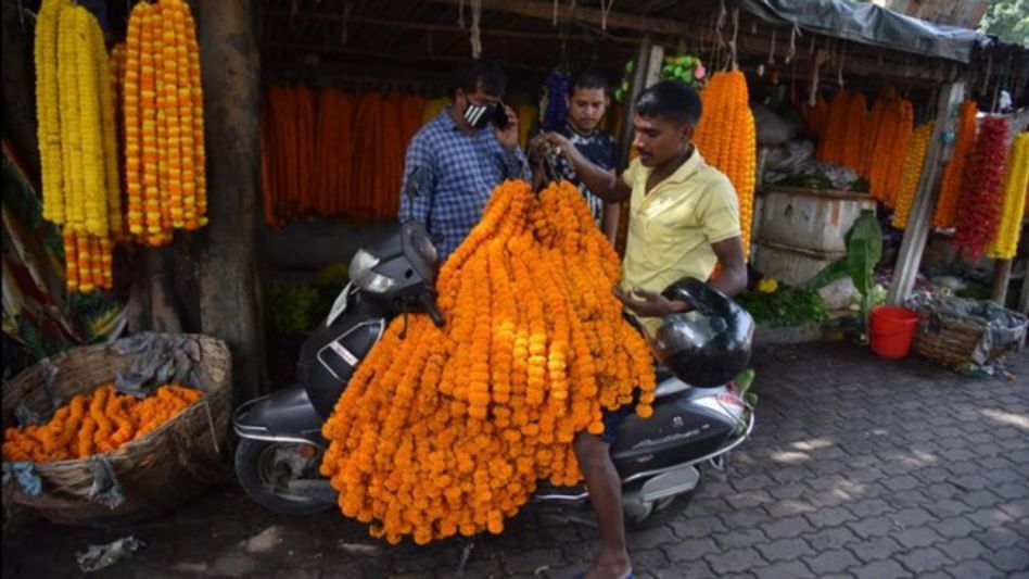 Assam government to boost flower market in the state; decides to set up 'State Floriculture Mission' Assam government to boost flower market in the state; decides to set up 'State Floriculture Mission'