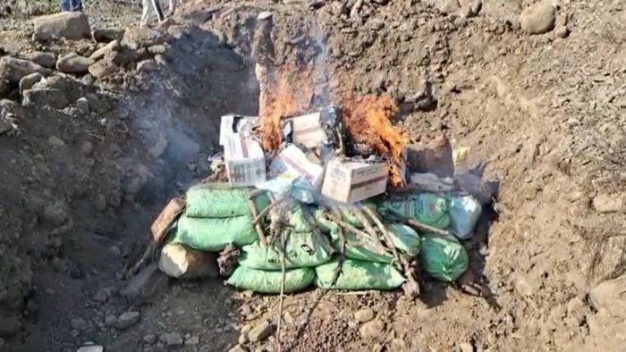 Assam police destroys 8198 kg Burmese supari