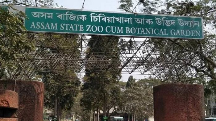 Assam State Zoo (File Photo)