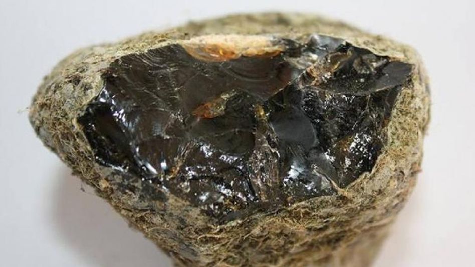 Assam: Suspected ambergris worth Rs 91 crore seized in Guwahati Assam: Suspected ambergris worth Rs 91 crore seized in Guwahati