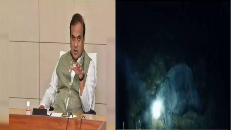 Assam CM takes cognizance of Rhino death in Golaghat