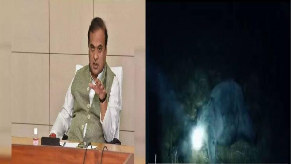 Assam CM Himanta Biswa Sarma orders enquiry into death of one-horned rhino in Golaghat district Assam CM Himanta Biswa Sarma orders enquiry into death of one-horned rhino in Golaghat district