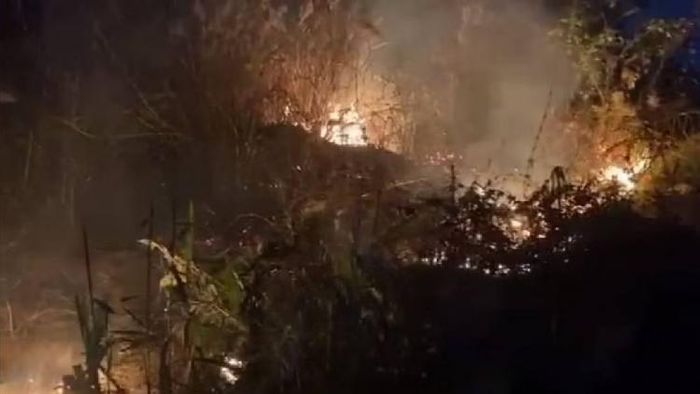 Assam: Massive wildfire engulfs mountains near national highway in Sonapur