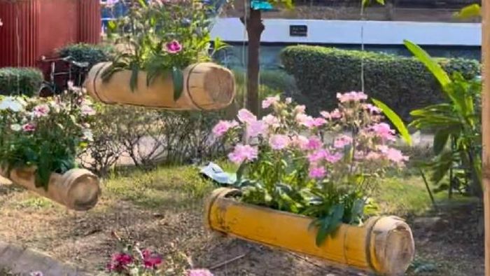 Assam: Kalakshetra goes Green: Guwahati's Smart City Project uses natural elements for landscaping