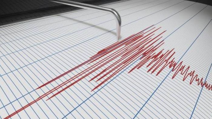 The earthquake originated at a depth of 99 km and the tremors were felt at around 01:30 am.