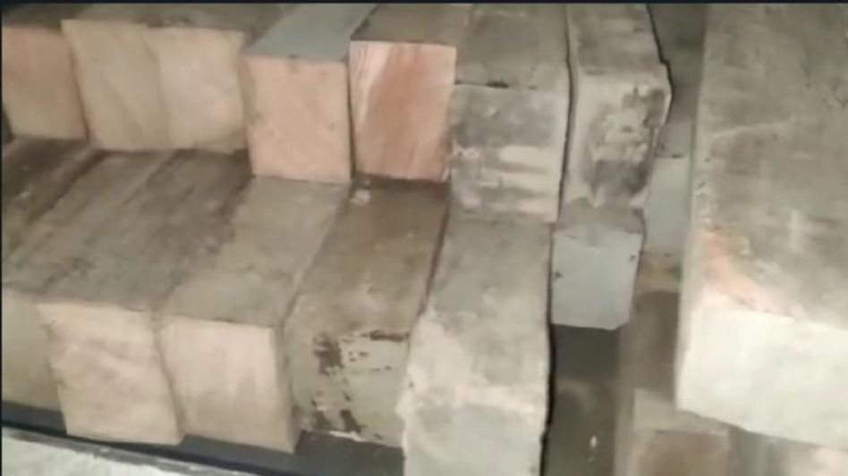 Assam: Smuggled Sal wood seized along with vehicle in Dhubri, one held  Assam: Smuggled Sal wood seized along with vehicle in Dhubri, one held