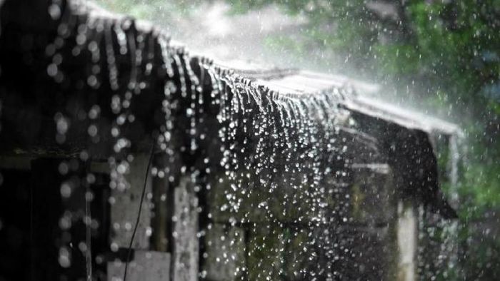 Assam, Arunachal likely to witness rainfall on February 6: Reports