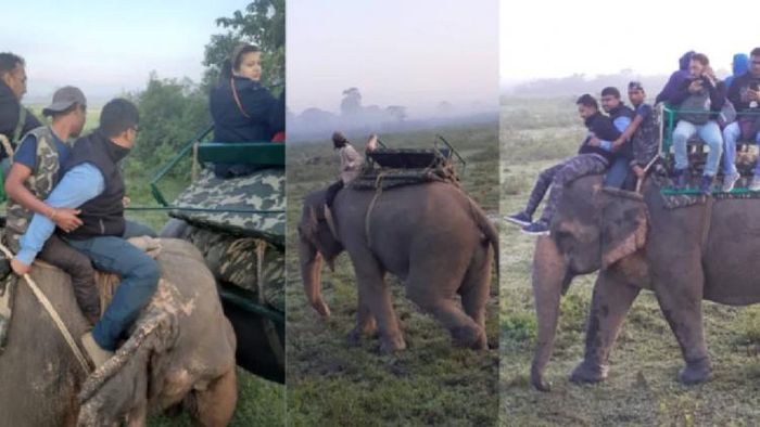 Tourists at Kaziranga National Park (File Photo)