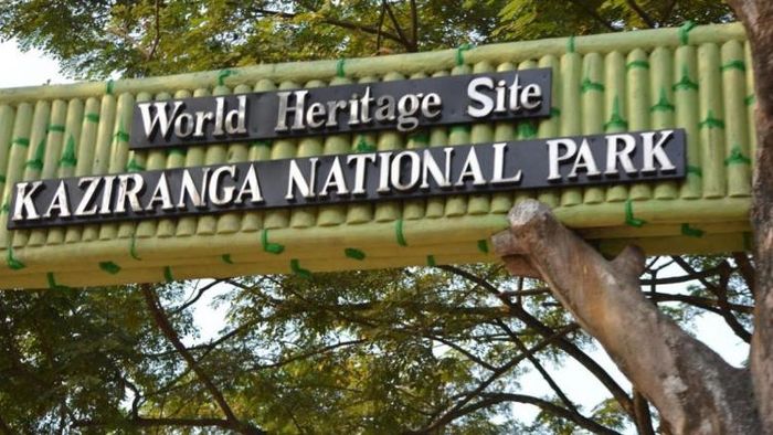 Ministry of Ayush will be organising a 'Chintan Shivir' from February 27-28 at Kaziranga National Park, Assam.