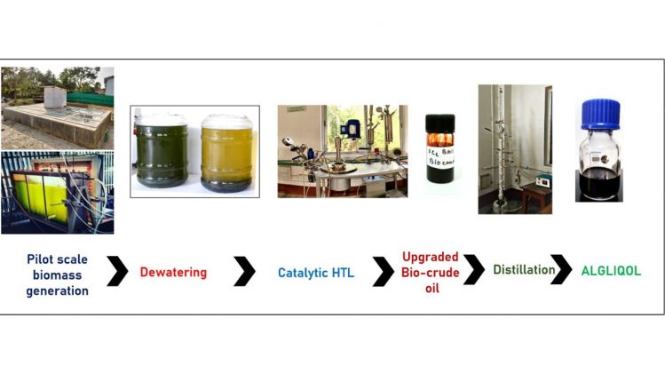 IIT Guwahati develops Sustainable Microalgae Biorefinery Model and Bioalcohols Production