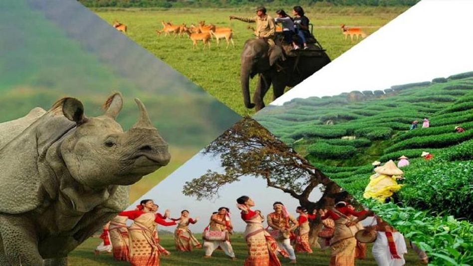 Assam government to hold road show in Mumbai to promote tourism and woo Bollywood Assam government to hold road show in Mumbai to promote tourism and woo Bollywood