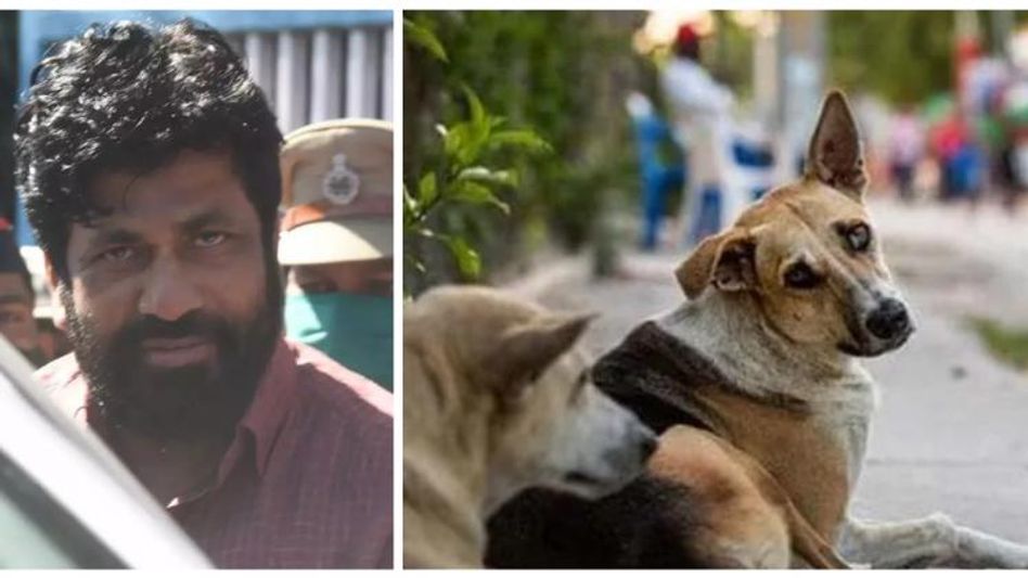 Assam: Multiple FIRs filed against Maharashtra MLA for derogatory statement on dog meat consumption Assam: Multiple FIRs filed against Maharashtra MLA for derogatory statement on dog meat consumption