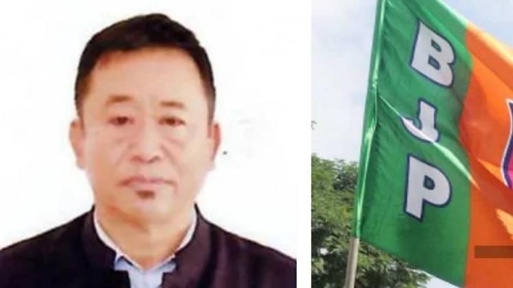 Nagaland Elections: BJP's A Pangjung Jamir wins Tuli Constituency with 3029 votes