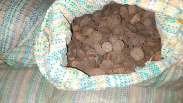 Assam: Gauripur Police seize 101 sacks of Burmese Supari in major bust of syndicate