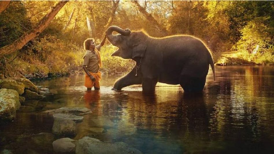 Historic moment for India after ‘The Elephant Whisperers’ bags Oscar for Best Documentary Short Film Historic moment for India after ‘The Elephant Whisperers’ bags Oscar for Best Documentary Short Film