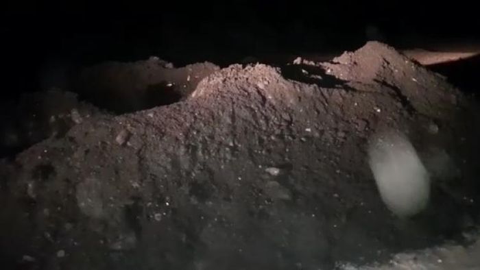 Assam: Truck with smuggled coal seized at Bagmara in Gossaigaon