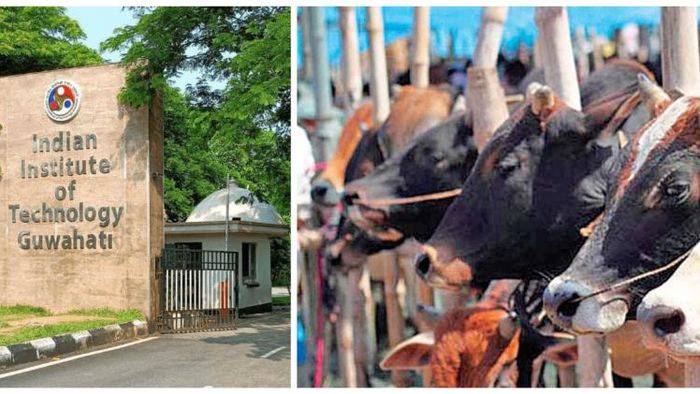 IIT Guwahati to host National Conference on the role of cows in agriculture, ayurveda, and rural empowerment