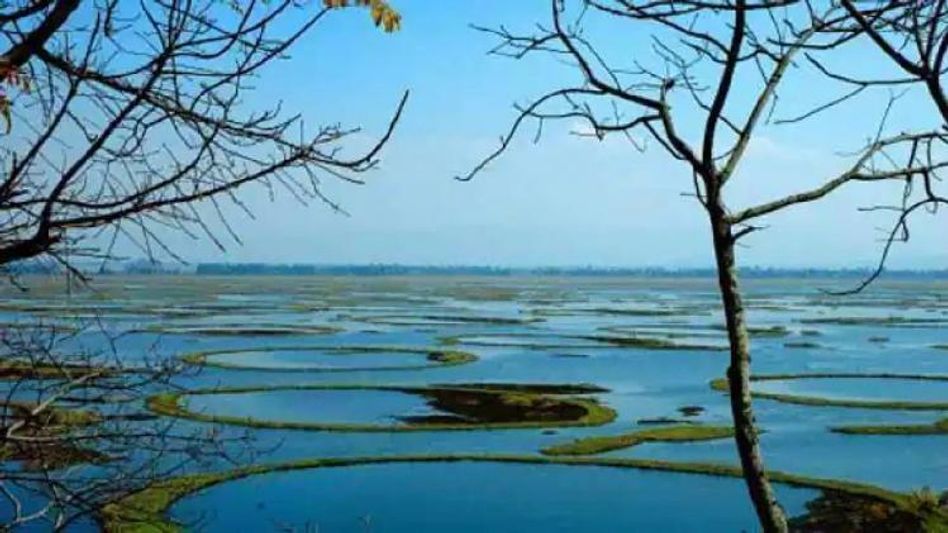 Manipur: Centre advises state government to take steps for protection of Loktak Lake and Keibul Lamjao National Park Manipur: Centre advises state government to take steps for protection of Loktak Lake and Keibul Lamjao National Park