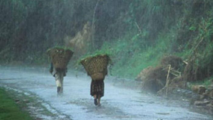 Nagaland to experience light to heavy rainfall in coming days