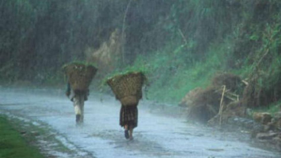 Nagaland braces for heavy rainfall and thunderstorms, NSDMA urges caution Nagaland braces for heavy rainfall and thunderstorms, NSDMA urges caution
