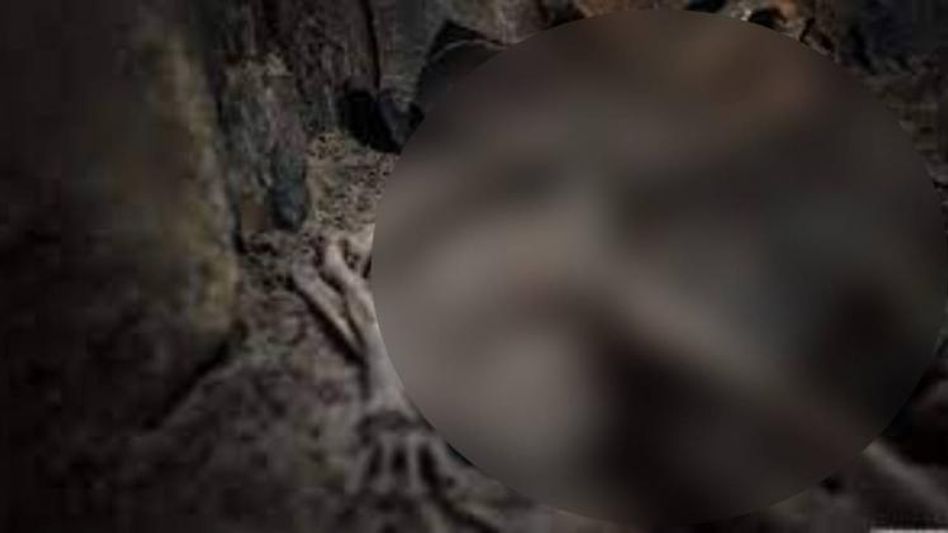 Mizoram: Charred bodies of three missing persons including a woman found near Myanmar border Mizoram: Charred bodies of three missing persons including a woman found near Myanmar border