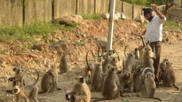 Representative image