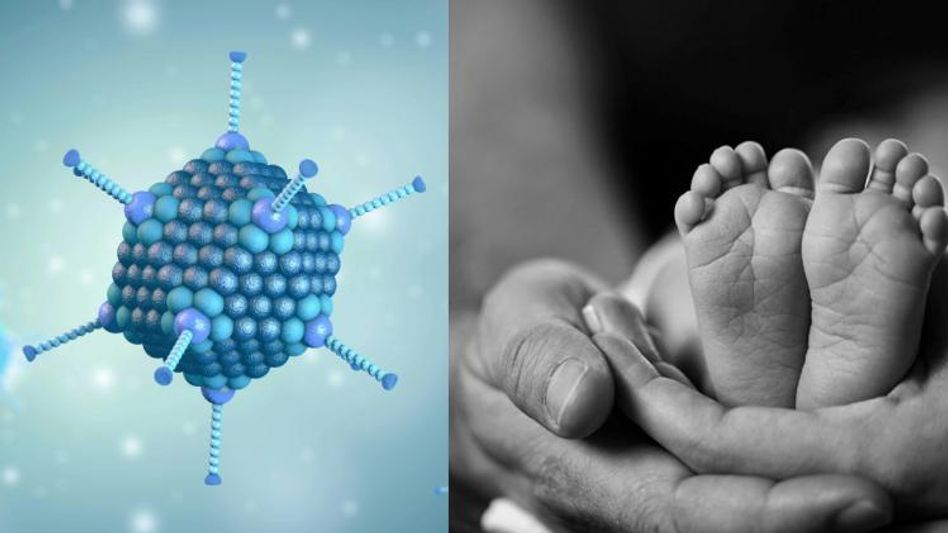 Adenovirus menace: 36 children die in last nine days in West Bengal Adenovirus menace: 36 children die in last nine days in West Bengal
