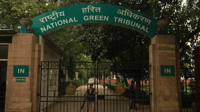 National Green Tribunal (File Photo)