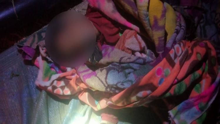 Tea worker trampled to death by an irate elephant in Assam's Kaliabor