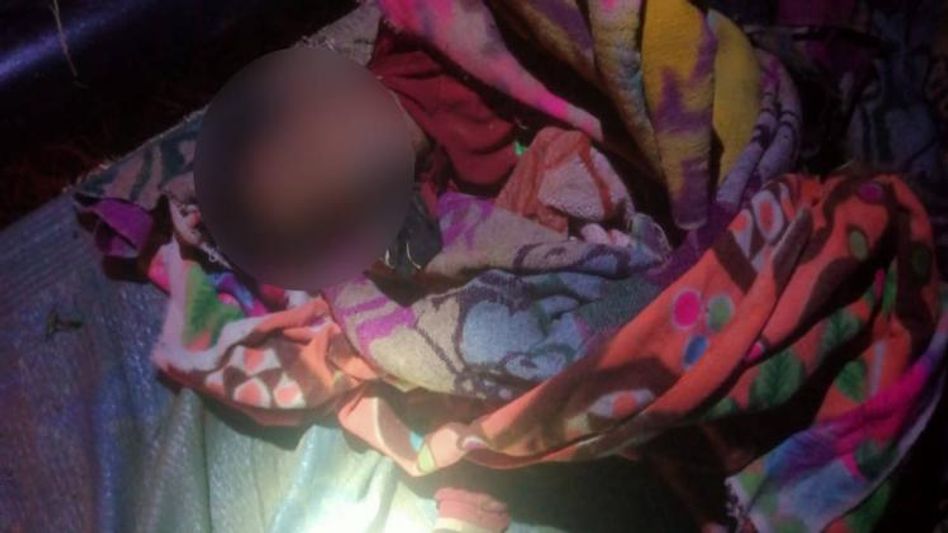 Assam: Tea worker killed in elephant attack in Kaliabor, 4 others injured Assam: Tea worker killed in elephant attack in Kaliabor, 4 others injured