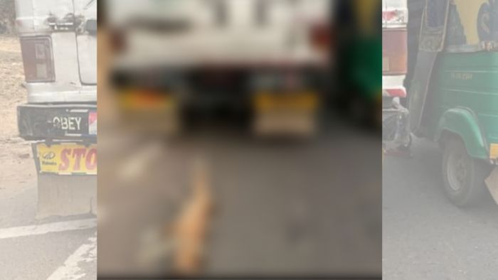 Tripura man arrested for dragging dog tied to a vehicle