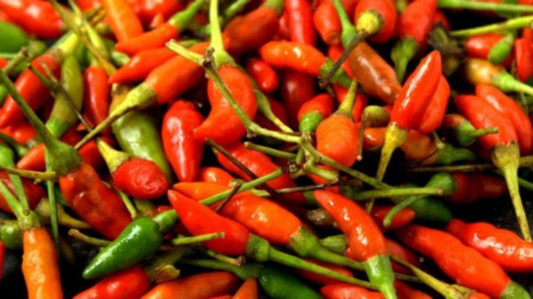 Mizoram exports ‘bird's eye chilli’ to United States for the first time Mizoram exports ‘bird's eye chilli’ to United States for the first time