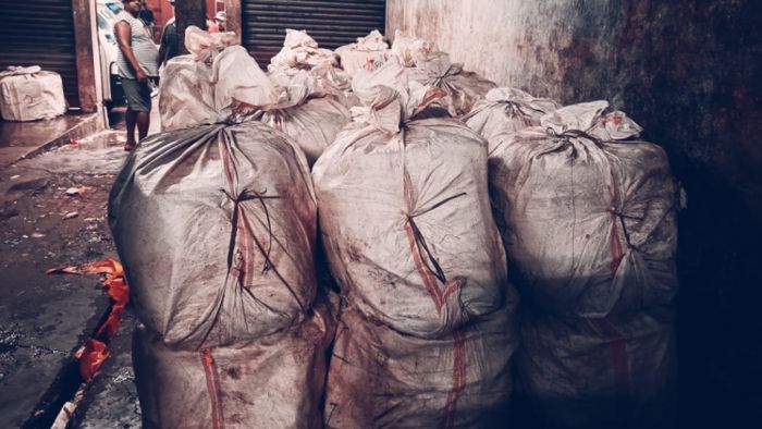 Burmese fish from Myanmar illegally sold in Nagaon