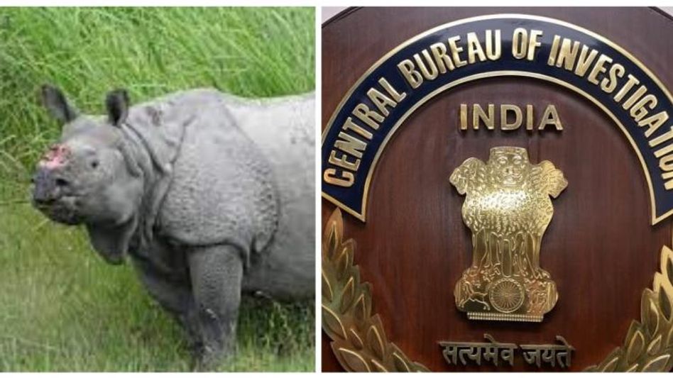 CBI nabs rhino poacher in Nagaland, following operations against poaching ring CBI nabs rhino poacher in Nagaland, following operations against poaching ring
