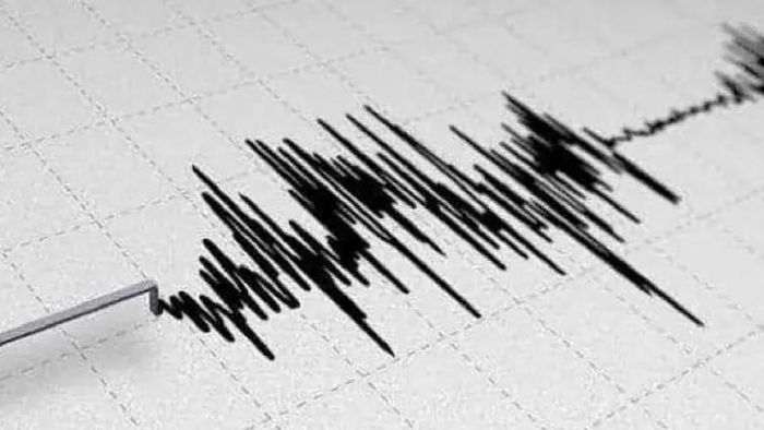 Meghalaya: 3.5-magnitude earthquake hits South Garo Hills, ; No casualties reported