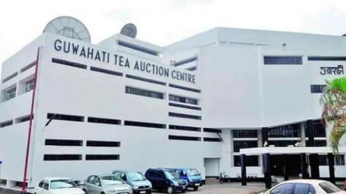 Guwahati Tea Auction Centre plans year-long programmes for 200 years of Assam tea