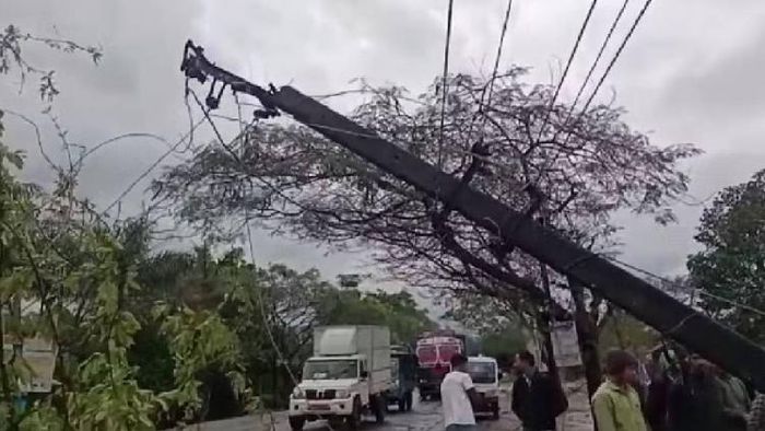 Power lines collapsed, trees uprooted after heavy rainfall, storm hits Dhemaji district in Assam