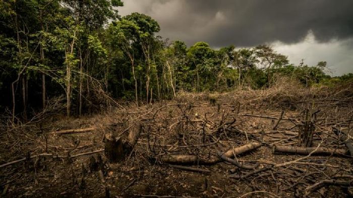 Representative image