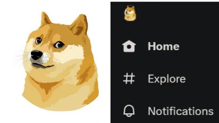 Elon Musk changes bluebird logo to Shiba Inu
