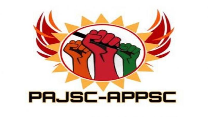 PAJSC logo