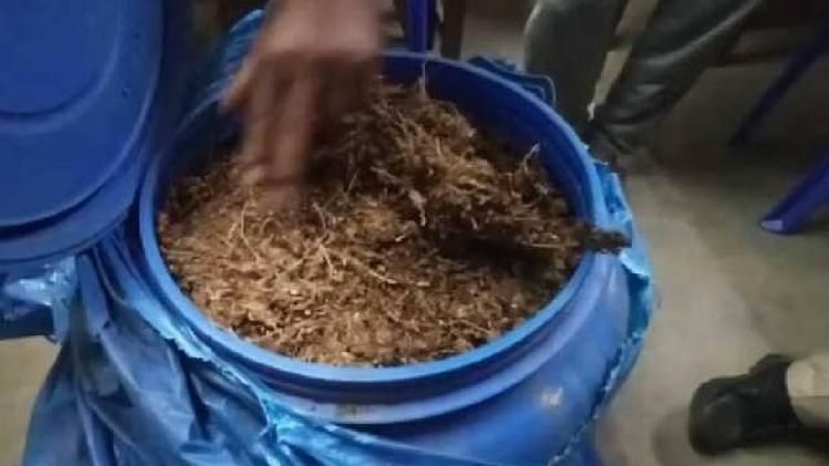 Huge quantities of cannabis seized by Assam Police in Panikhaiti