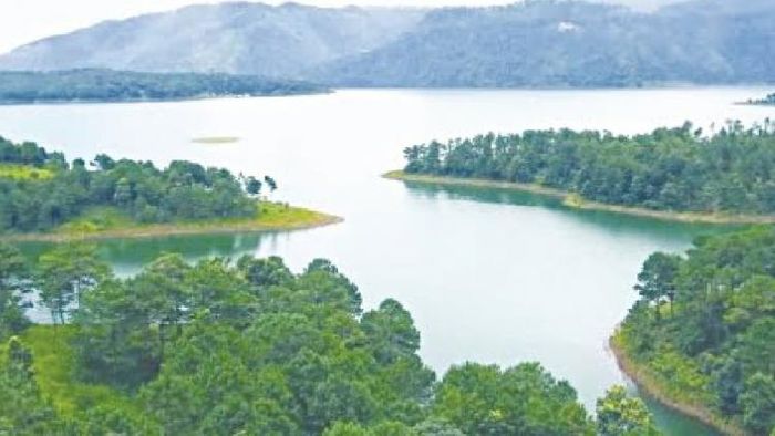 Representative image