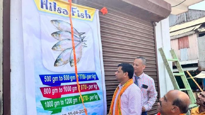 Tripura government-run entity to sell around 5,000 kg 'Hilsa' fish on 'Polia Boishakh'