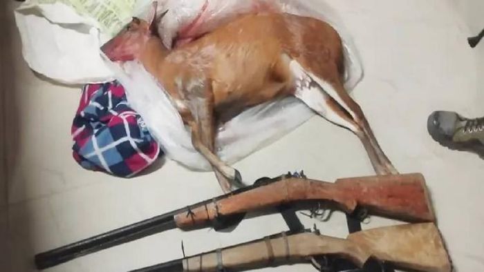 The seized items along with the deer carcass