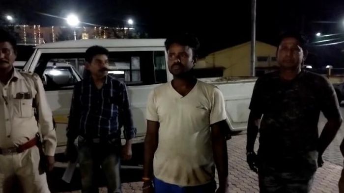 Assam: Timber smuggler nabbed in Morigaon after forest department raids